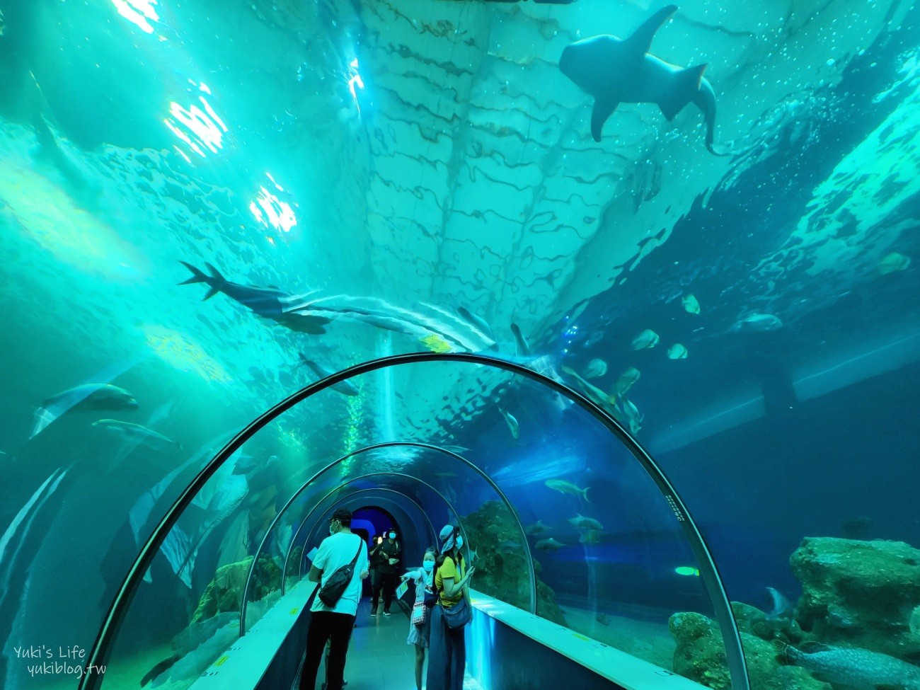 澎湖水族館》澎湖室內親子景點推薦必訪~門票・超值套票 - yuki.tw