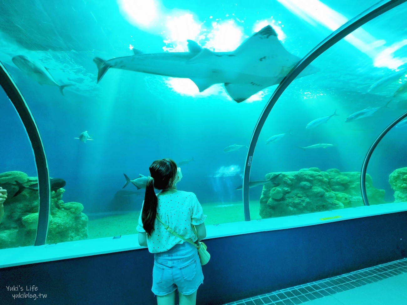 澎湖水族館》澎湖室內親子景點推薦必訪~門票・超值套票 - yuki.tw