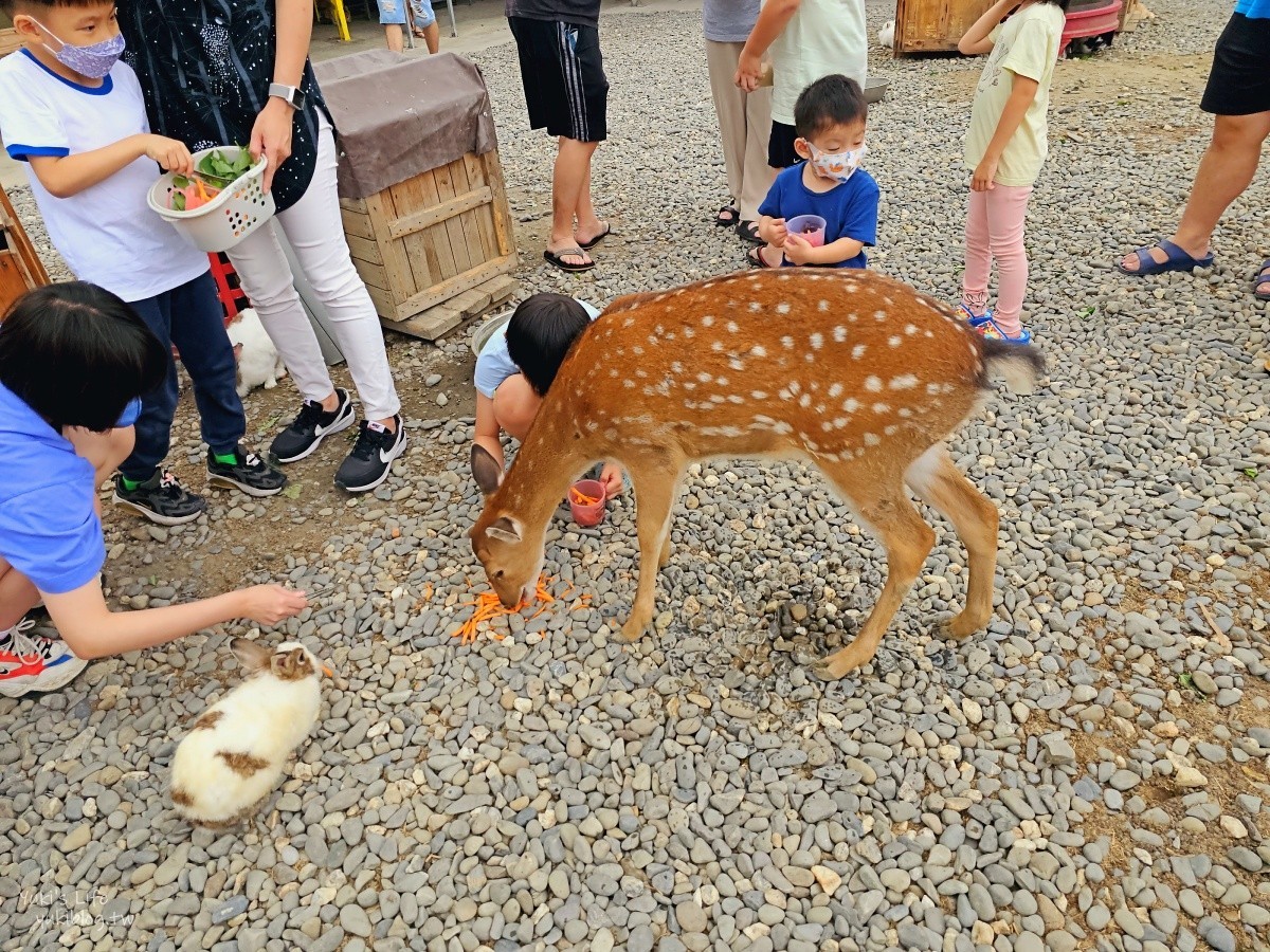 屏東親子二日遊，超推薦15個精選親子景點，能玩沙戲水、餵小動物、大草皮放電跑跳 - yuki.tw