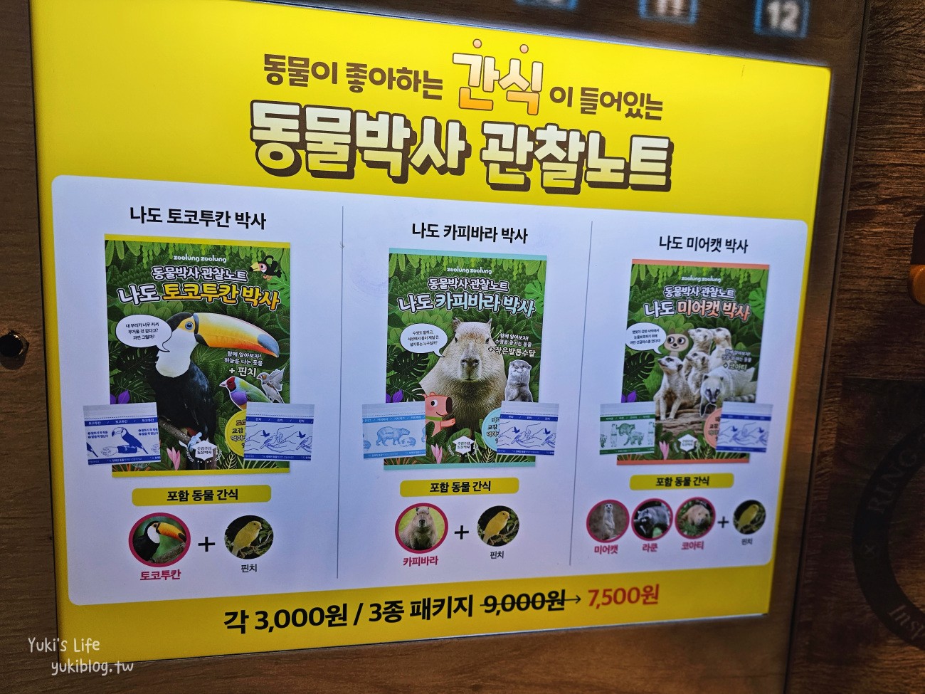 韓國親子景點》首爾Zoolung Zoolung室內動物主題樂園，可以近距離餵食小動物，療癒到不行 - yuki.tw