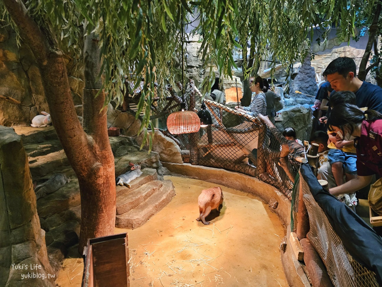 韓國親子景點》首爾Zoolung Zoolung室內動物主題樂園，可以近距離餵食小動物，療癒到不行 - yuki.tw