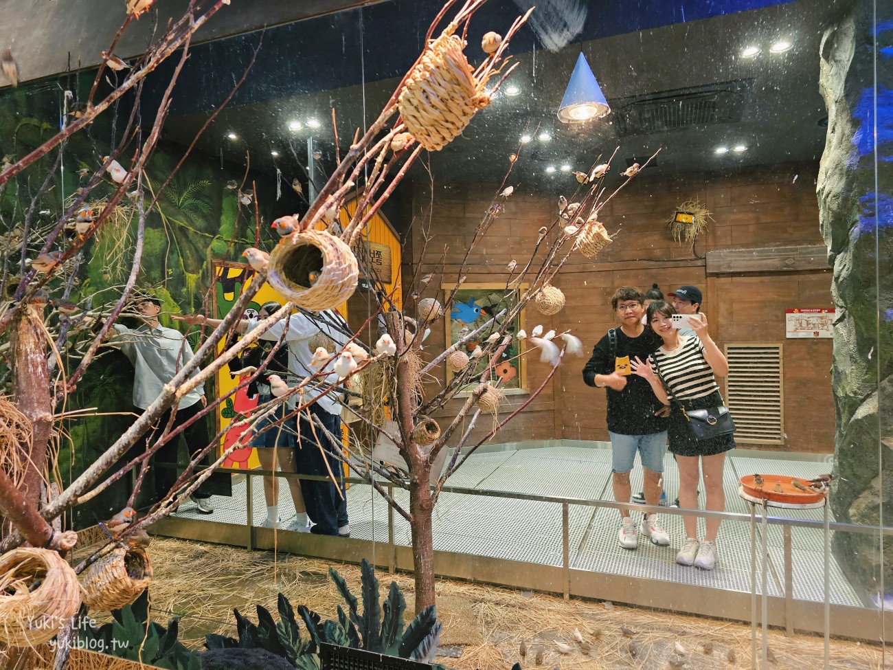 韓國親子景點》首爾Zoolung Zoolung室內動物主題樂園，可以近距離餵食小動物，療癒到不行 - yuki.tw