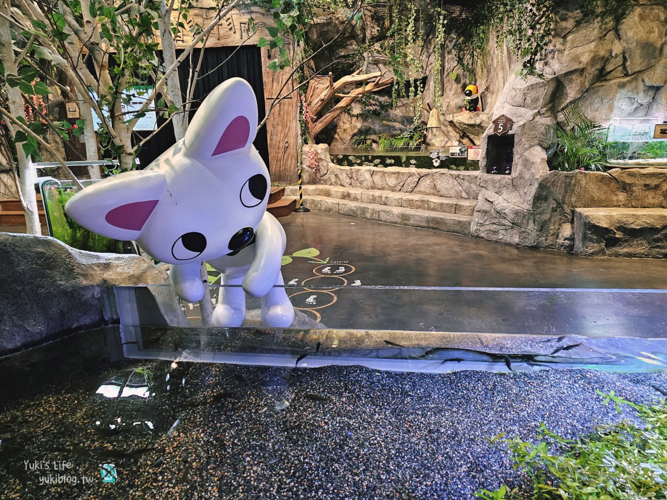 韓國親子景點》首爾Zoolung Zoolung室內動物主題樂園，可以近距離餵食小動物，療癒到不行 - yuki.tw