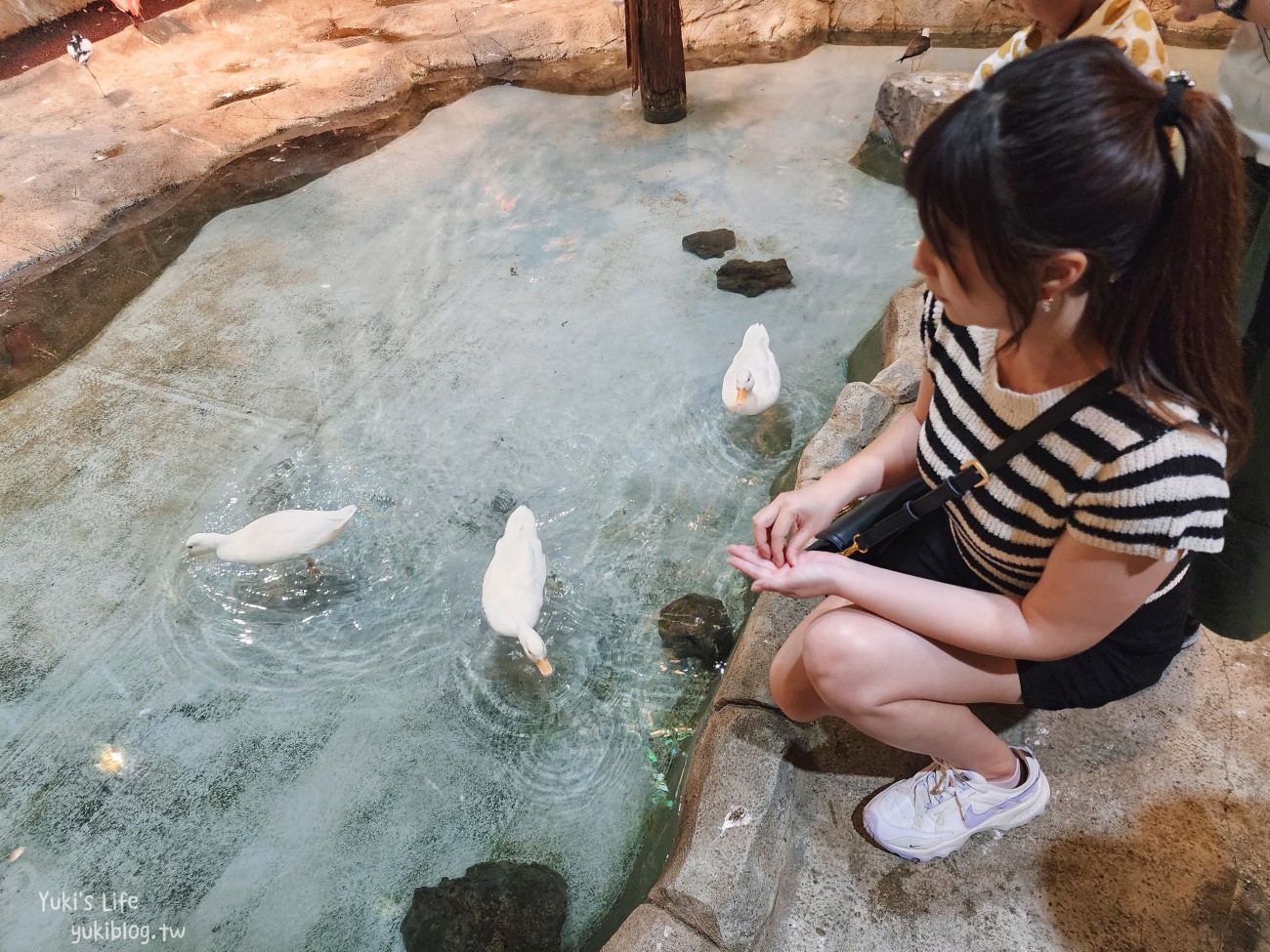 韓國親子景點》首爾Zoolung Zoolung室內動物主題樂園，可以近距離餵食小動物，療癒到不行 - yuki.tw