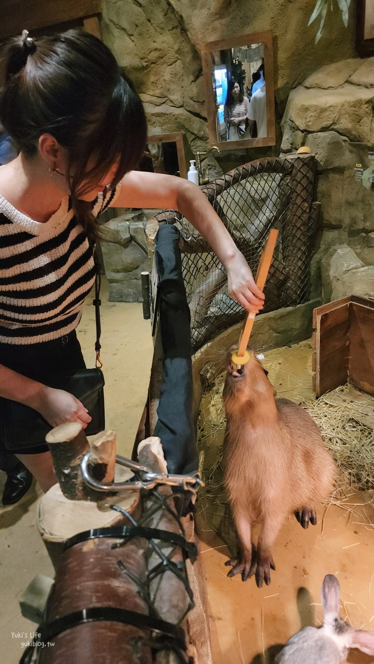 韓國親子景點》首爾Zoolung Zoolung室內動物主題樂園，可以近距離餵食小動物，療癒到不行 - yuki.tw