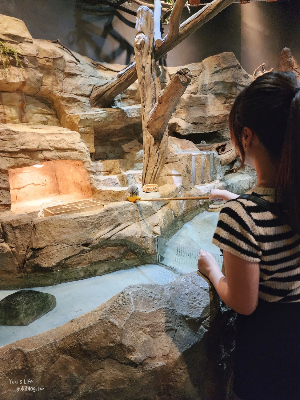 韓國親子景點》首爾Zoolung Zoolung室內動物主題樂園，可以近距離餵食小動物，療癒到不行 - yuki.tw