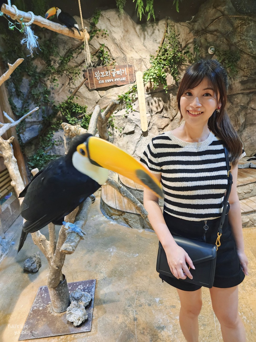 韓國親子景點》首爾Zoolung Zoolung室內動物主題樂園，可以近距離餵食小動物，療癒到不行 - yuki.tw