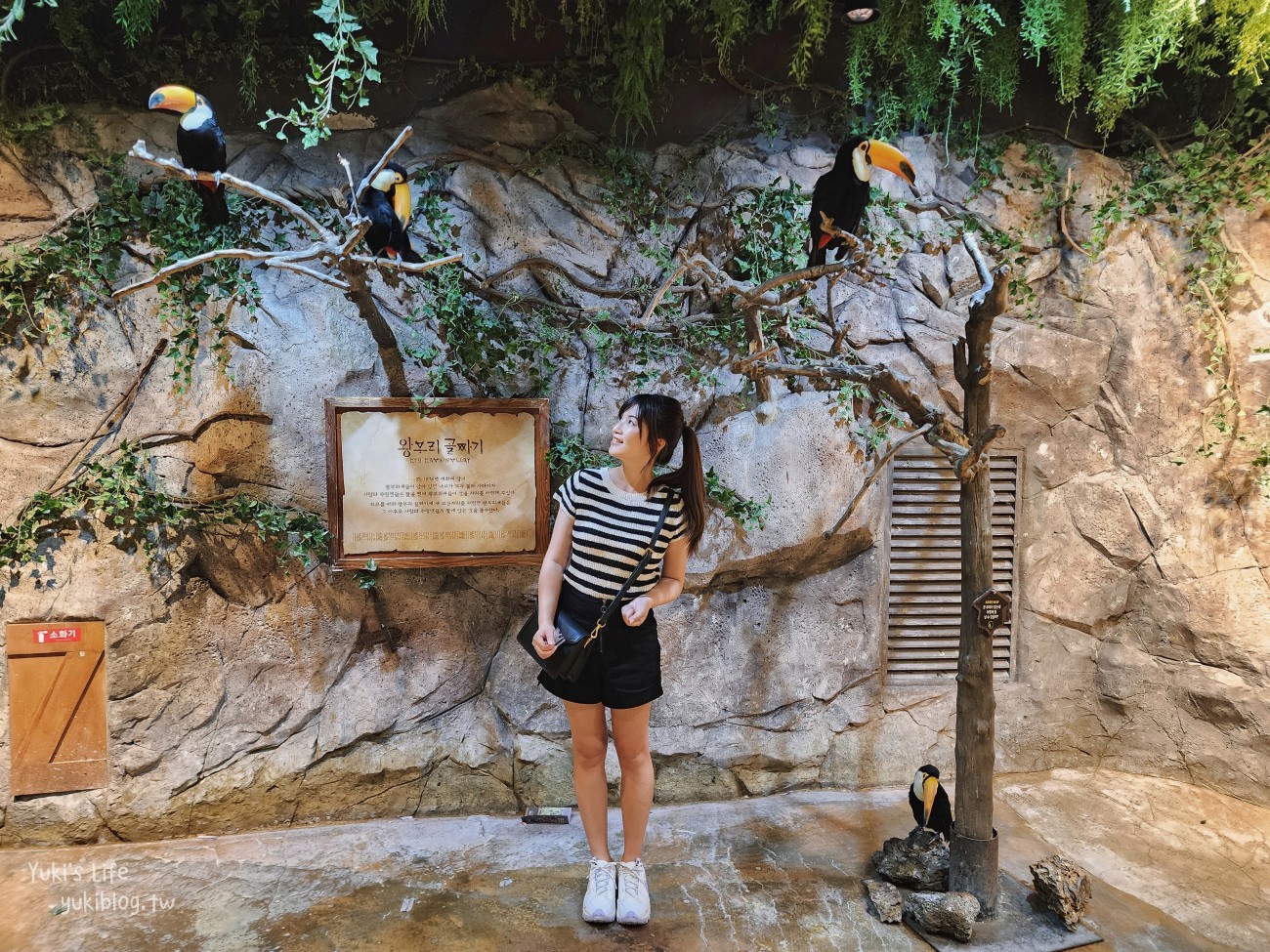 韓國親子景點》首爾Zoolung Zoolung室內動物主題樂園，可以近距離餵食小動物，療癒到不行 - yuki.tw