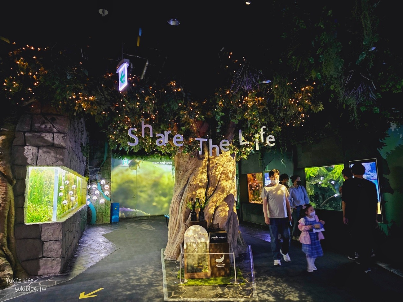 韓國首爾親子景點》樂天世界水族館，首爾下雨景點雨天備案~超萌小白鯨和企鵝有夠療癒！ - yuki.tw