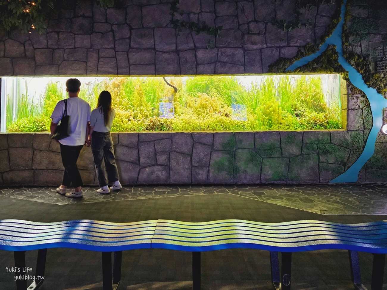 韓國首爾親子景點》樂天世界水族館，首爾下雨景點雨天備案~超萌小白鯨和企鵝有夠療癒！ - yuki.tw