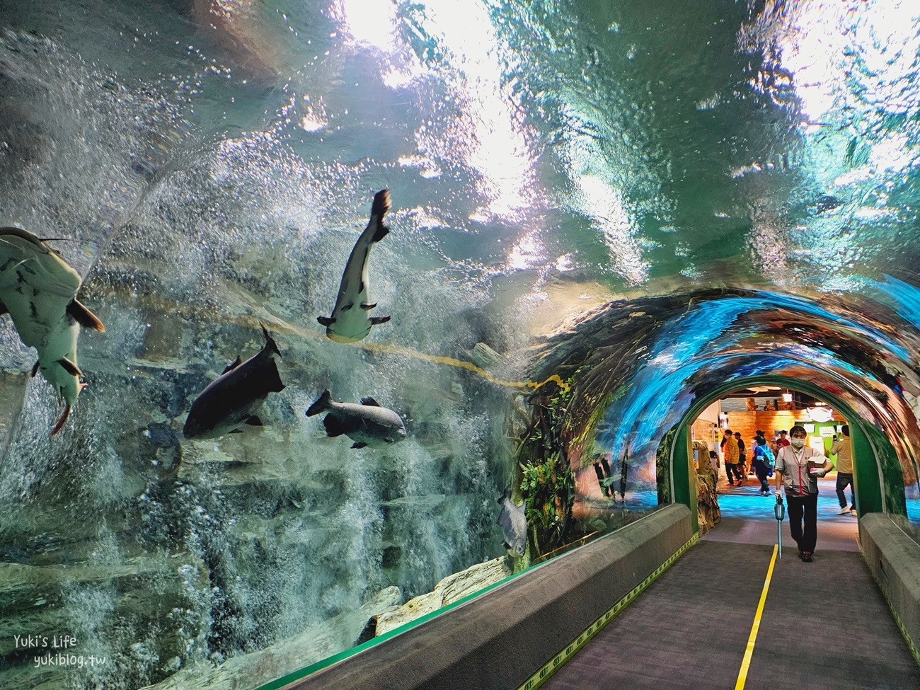 韓國首爾親子景點》樂天世界水族館，首爾下雨景點雨天備案~超萌小白鯨和企鵝有夠療癒！ - yuki.tw