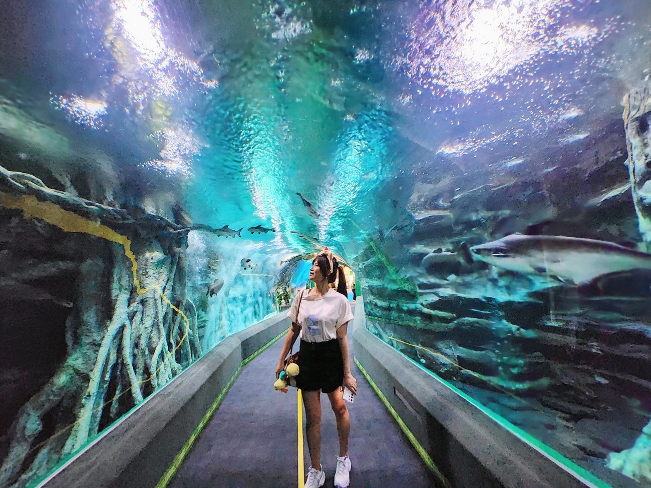 韓國首爾親子景點》樂天世界水族館，首爾下雨景點雨天備案~超萌小白鯨和企鵝有夠療癒！ - yuki.tw