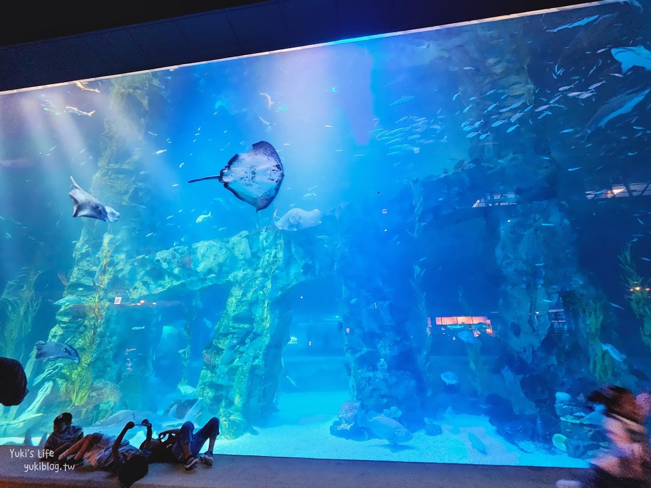 韓國首爾親子景點》樂天世界水族館，首爾下雨景點雨天備案~超萌小白鯨和企鵝有夠療癒！ - yuki.tw