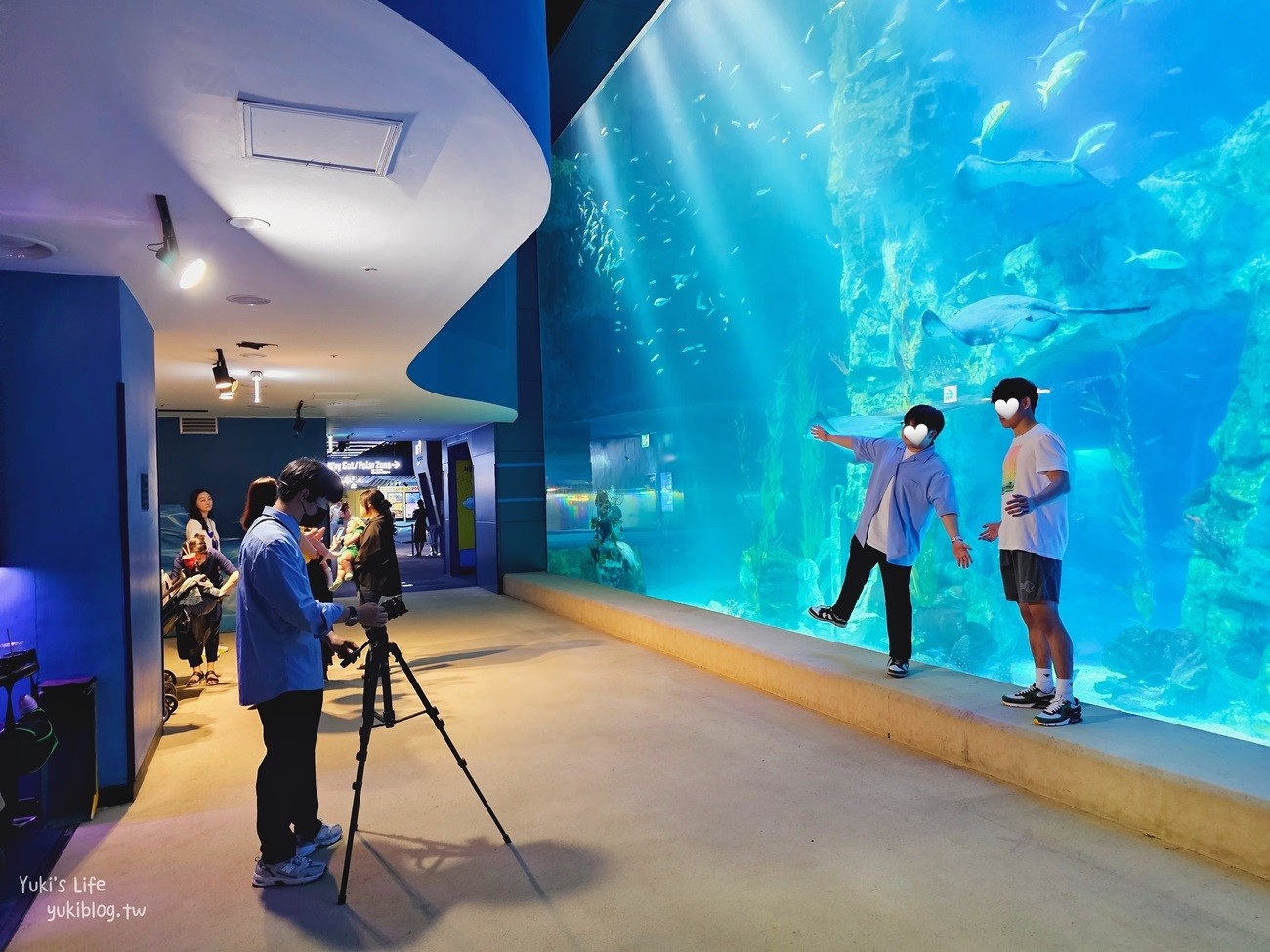 韓國首爾親子景點》樂天世界水族館，首爾下雨景點雨天備案~超萌小白鯨和企鵝有夠療癒！ - yuki.tw