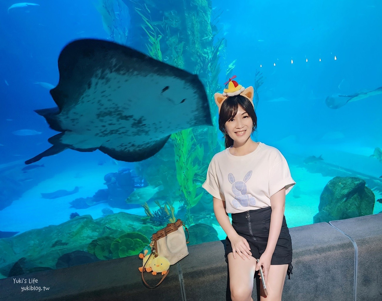 韓國首爾親子景點》樂天世界水族館，首爾下雨景點雨天備案~超萌小白鯨和企鵝有夠療癒！ - yuki.tw