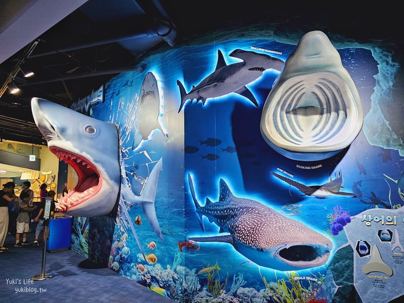 韓國首爾親子景點》樂天世界水族館，首爾下雨景點雨天備案~超萌小白鯨和企鵝有夠療癒！ - yuki.tw