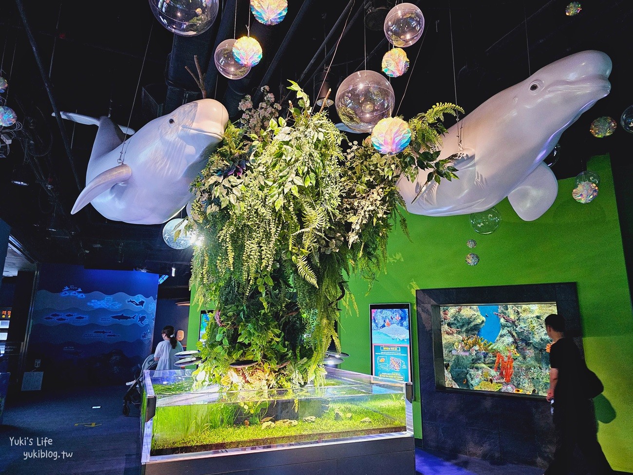 韓國首爾親子景點》樂天世界水族館，首爾下雨景點雨天備案~超萌小白鯨和企鵝有夠療癒！ - yuki.tw