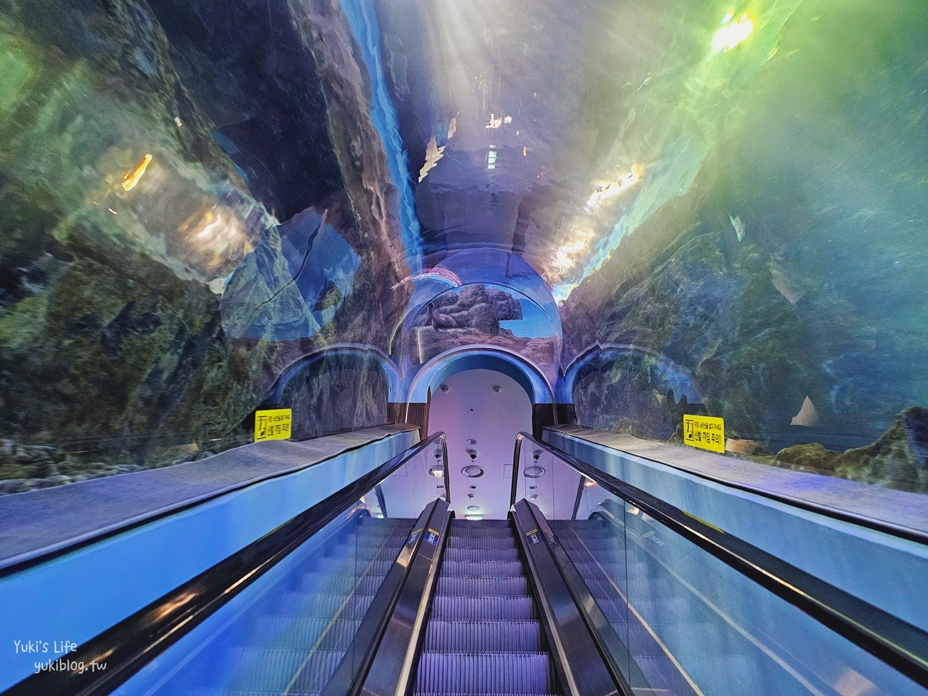 韓國首爾親子景點》樂天世界水族館，首爾下雨景點雨天備案~超萌小白鯨和企鵝有夠療癒！ - yuki.tw