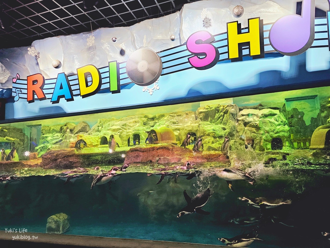 韓國首爾親子景點》樂天世界水族館，首爾下雨景點雨天備案~超萌小白鯨和企鵝有夠療癒！ - yuki.tw