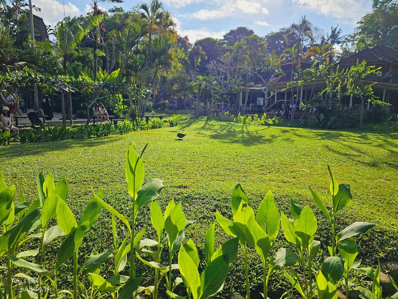 峇里島親子景點》烏布鳥園​​​​​​​Bali Bird Park～必玩推薦！超過1300隻鳥類！ - yuki.tw