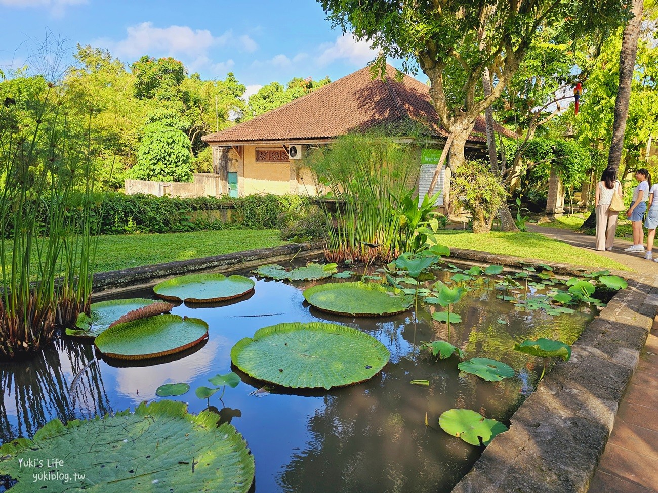 峇里島親子景點》烏布鳥園​​​​​​​Bali Bird Park～必玩推薦！超過1300隻鳥類！ - yuki.tw