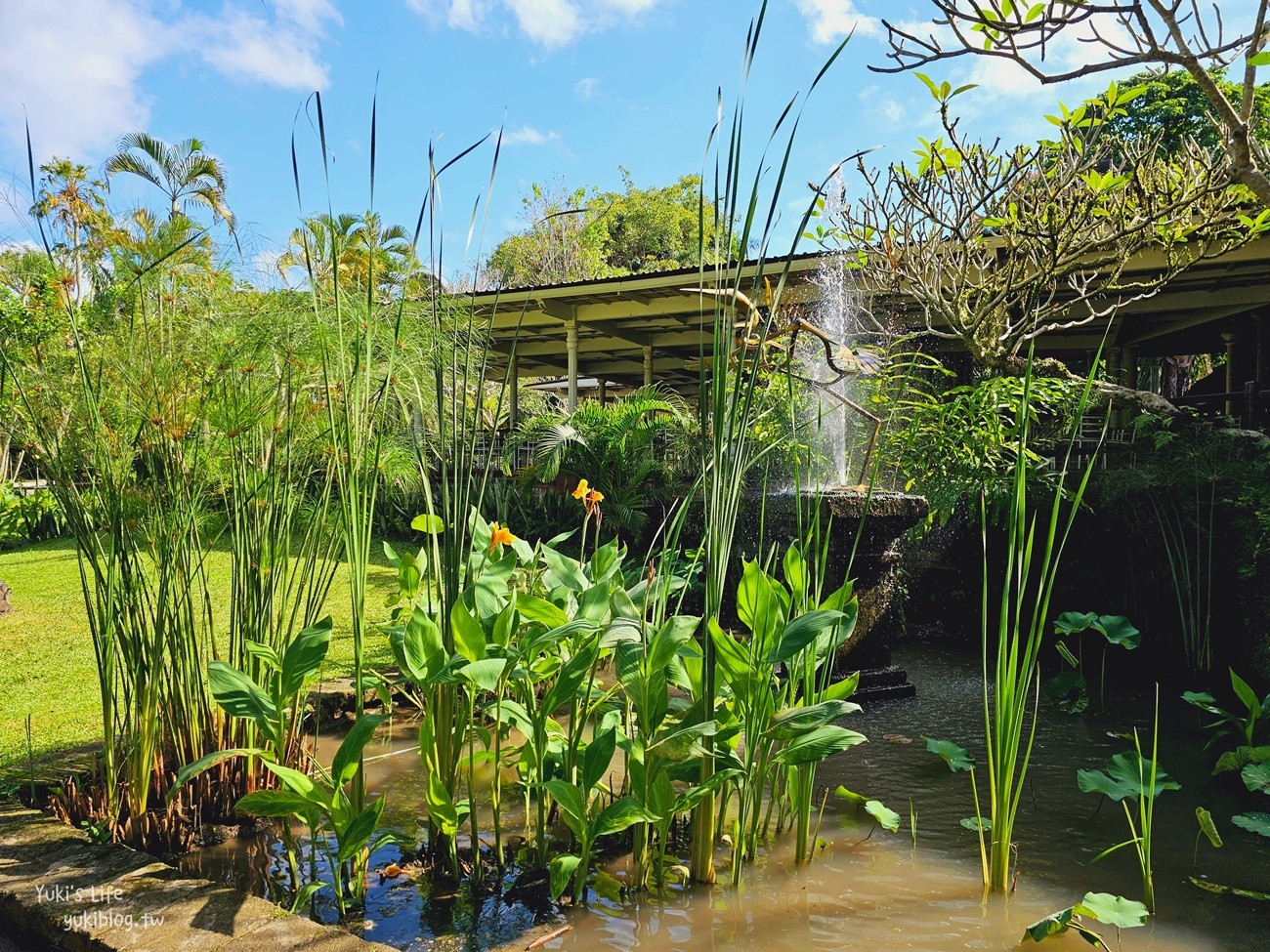 峇里島親子景點》烏布鳥園​​​​​​​Bali Bird Park～必玩推薦！超過1300隻鳥類！ - yuki.tw