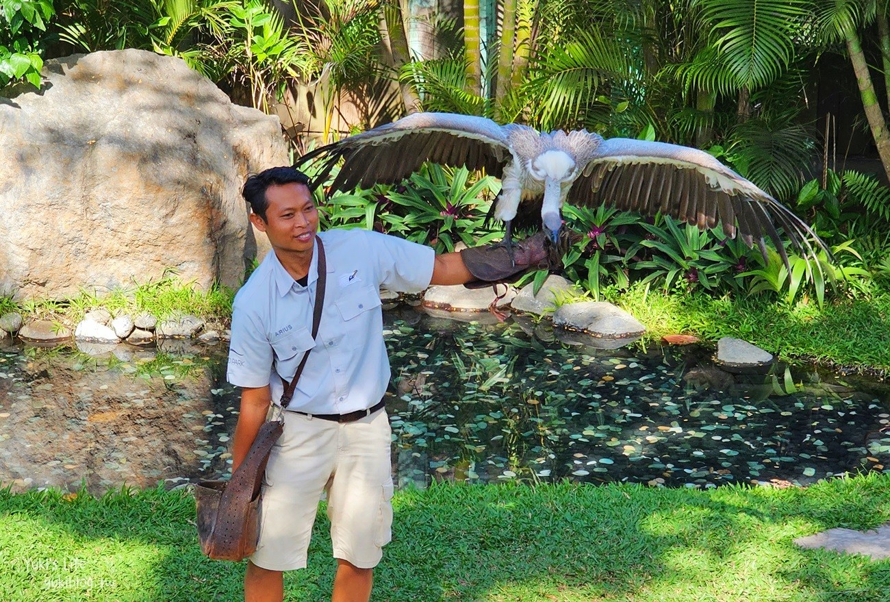 峇里島親子景點》烏布鳥園​​​​​​​Bali Bird Park～必玩推薦！超過1300隻鳥類！ - yuki.tw