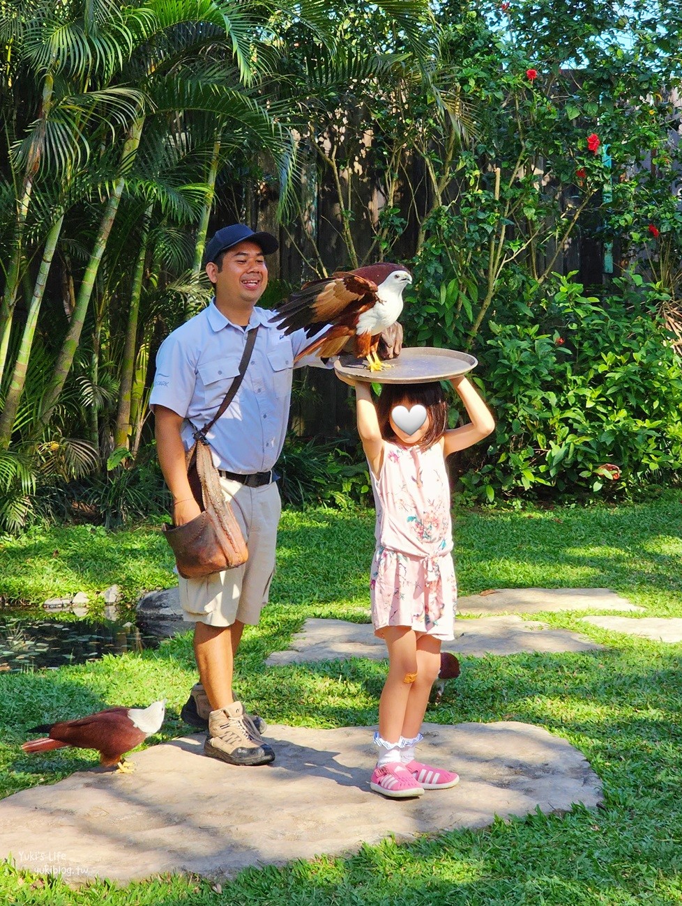 峇里島親子景點》烏布鳥園​​​​​​​Bali Bird Park～必玩推薦！超過1300隻鳥類！ - yuki.tw