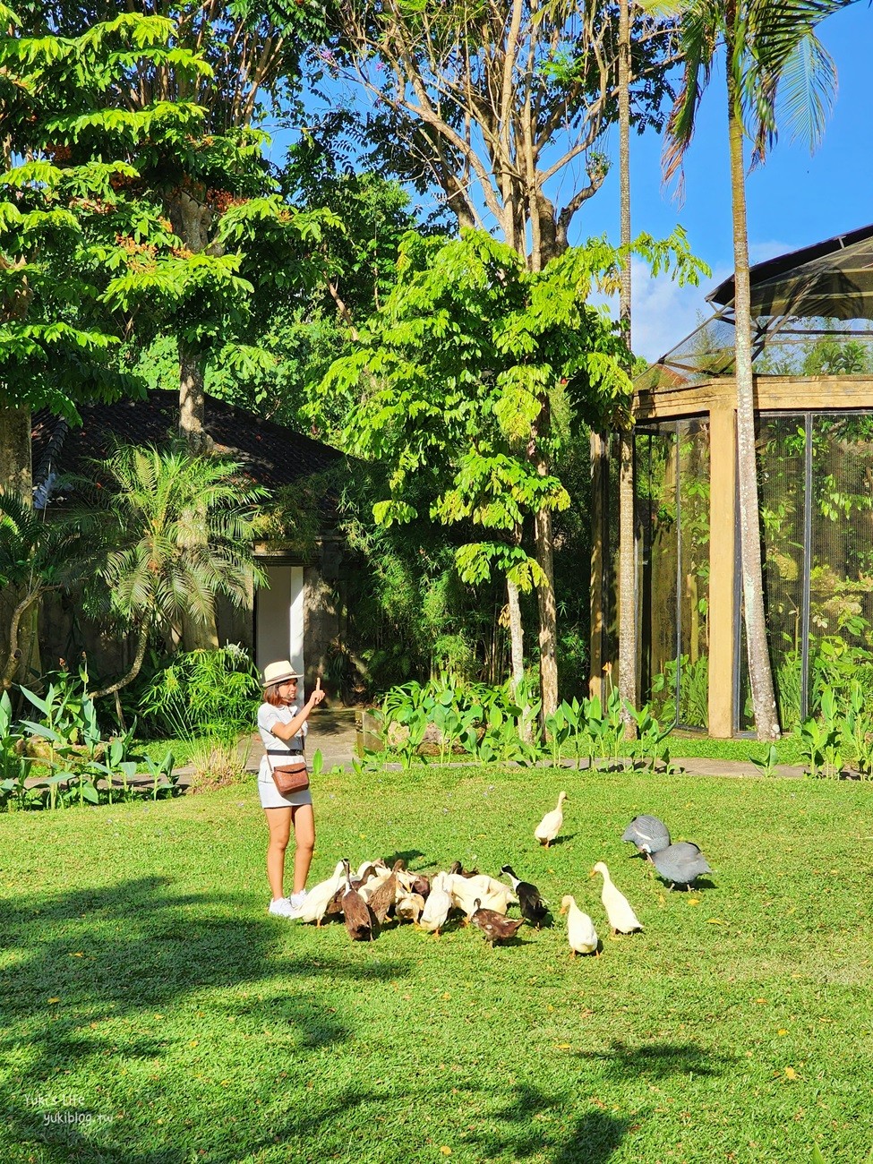 峇里島親子景點》烏布鳥園​​​​​​​Bali Bird Park～必玩推薦！超過1300隻鳥類！ - yuki.tw