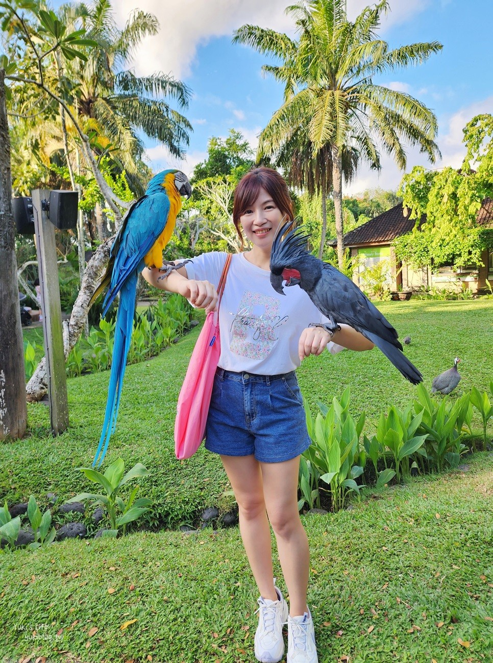 峇里島親子景點》烏布鳥園​​​​​​​Bali Bird Park～必玩推薦！超過1300隻鳥類！ - yuki.tw