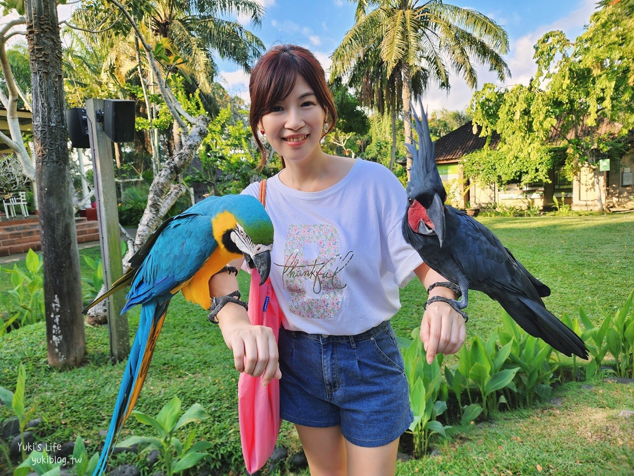 峇里島親子景點》烏布鳥園​​​​​​​Bali Bird Park～必玩推薦！超過1300隻鳥類！ - yuki.tw