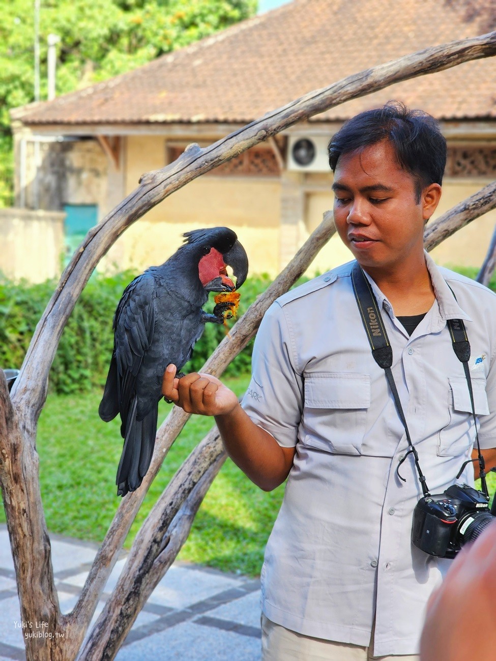 峇里島親子景點》烏布鳥園​​​​​​​Bali Bird Park～必玩推薦！超過1300隻鳥類！ - yuki.tw