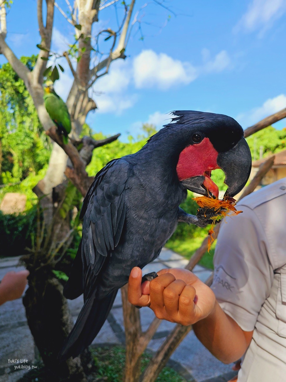 峇里島親子景點》烏布鳥園​​​​​​​Bali Bird Park～必玩推薦！超過1300隻鳥類！ - yuki.tw