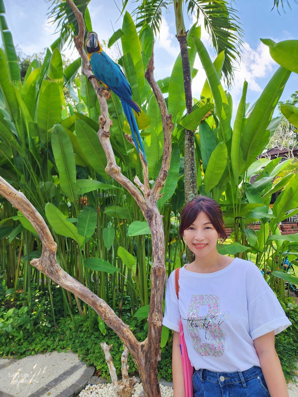 峇里島親子景點》烏布鳥園​​​​​​​Bali Bird Park～必玩推薦！超過1300隻鳥類！ - yuki.tw