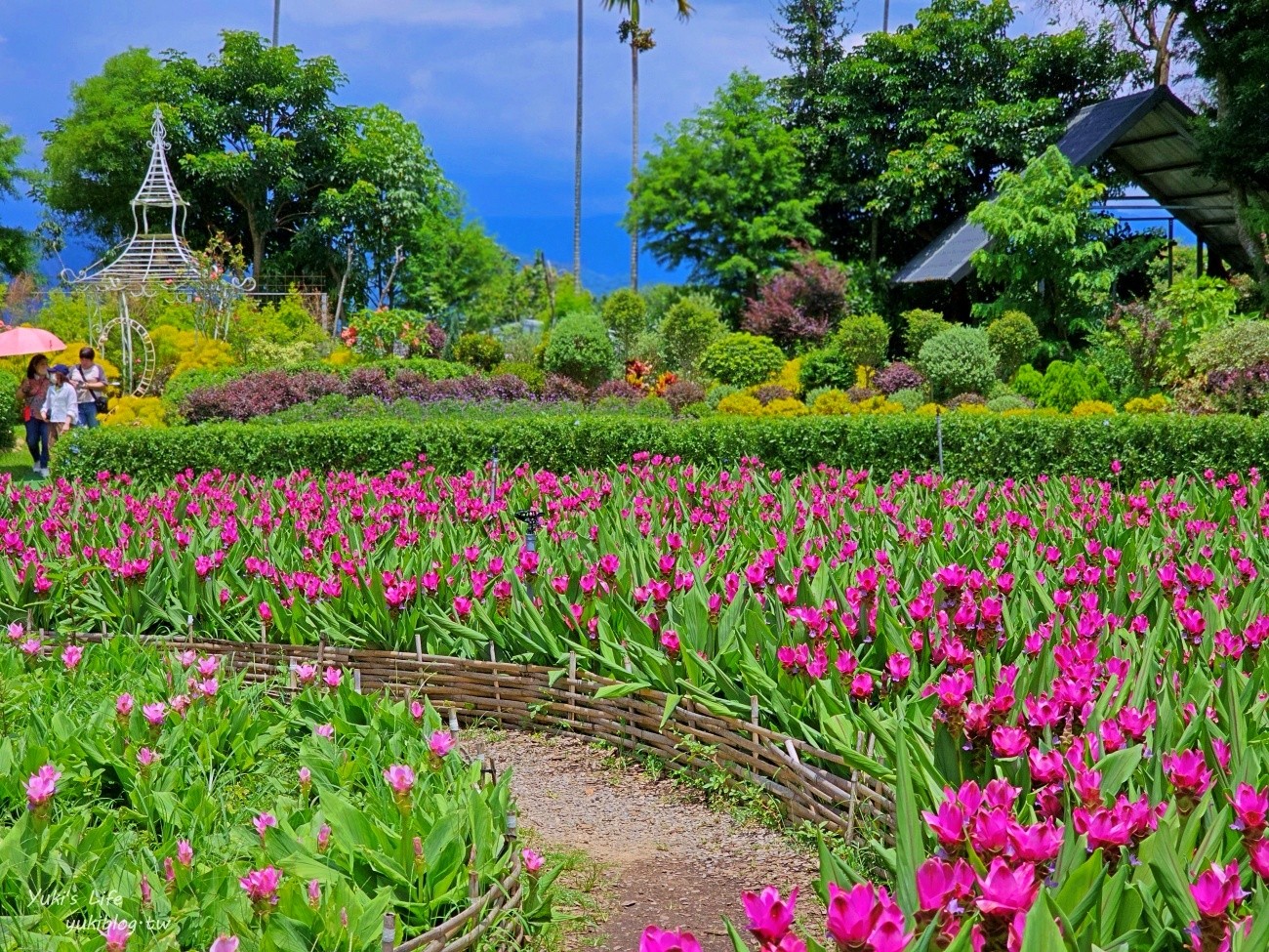 苗栗住宿推薦》花露農場精油城堡民宿！來當花仙子入住一晚也太浪漫～ - yuki.tw