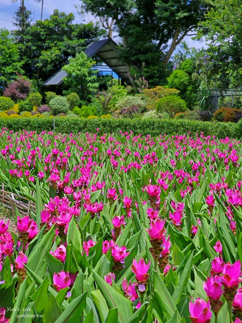 苗栗住宿推薦》花露農場精油城堡民宿！來當花仙子入住一晚也太浪漫～ - yuki.tw