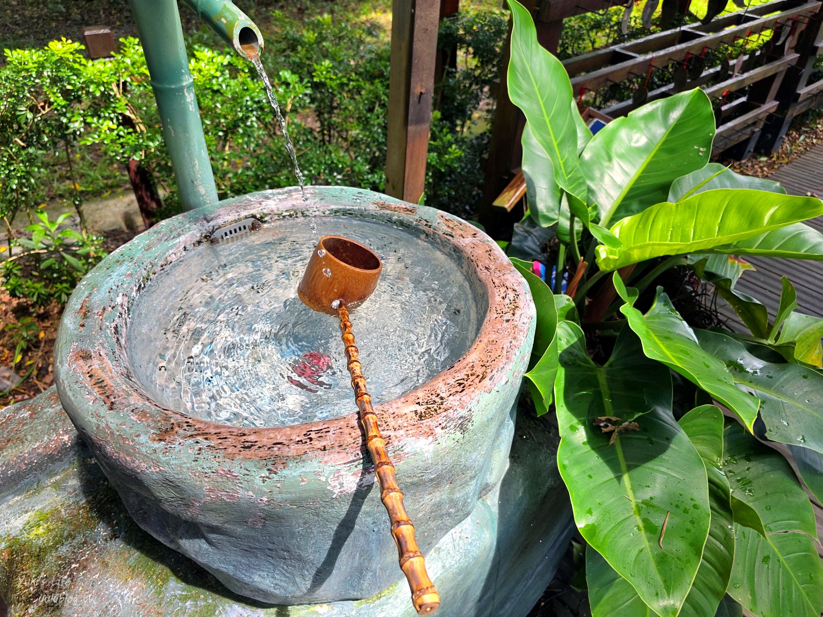 20250826164401_0_6845e3 南投景點》鳥居喫茶食堂，免門票日式園區，穿和服美拍，聚餐約會好去處！