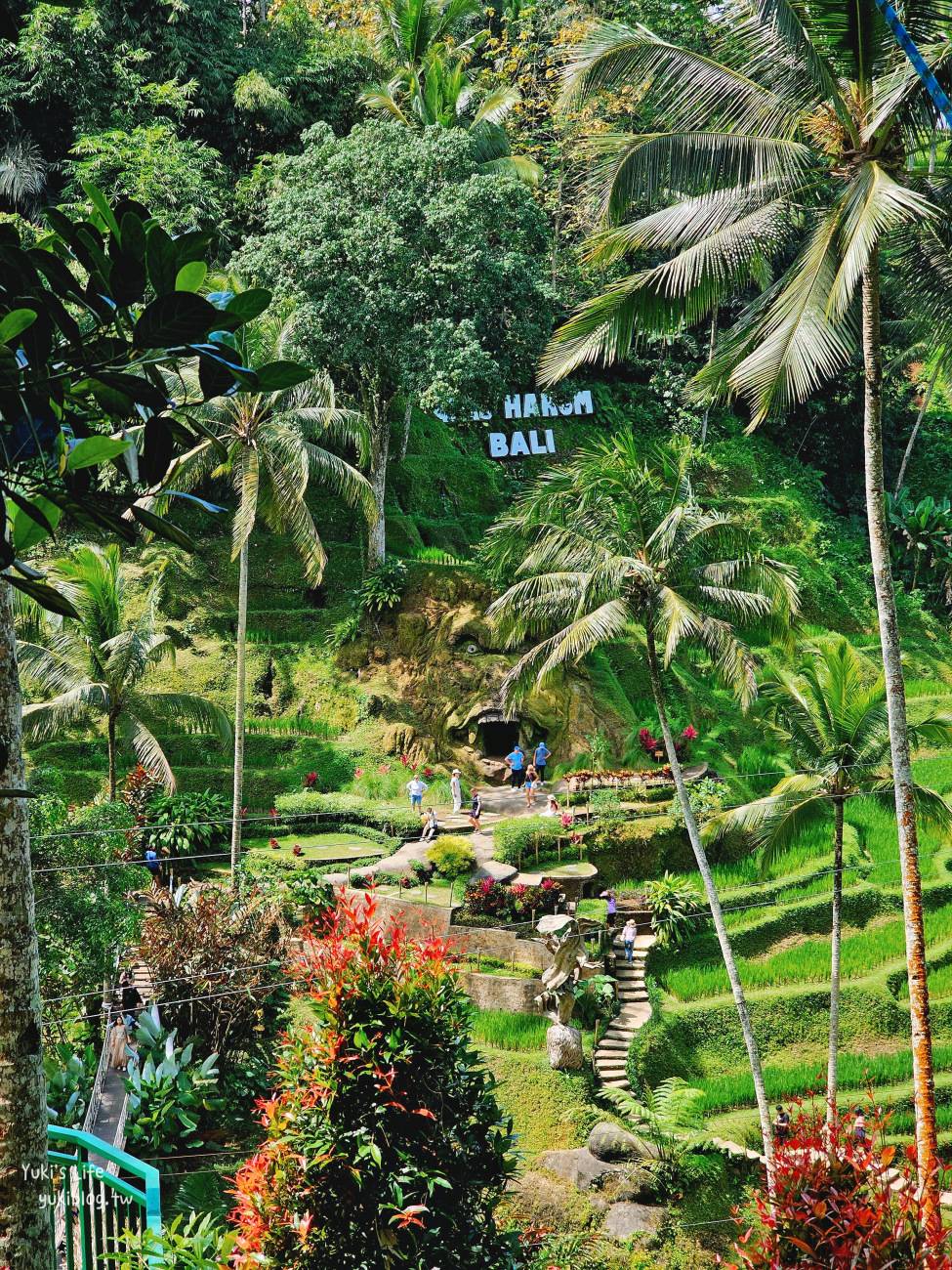 峇里島烏布網美景點》Alas Harum Bali~德哥拉朗梯田盪鞦韆！超過一萬則評論 - yuki.tw