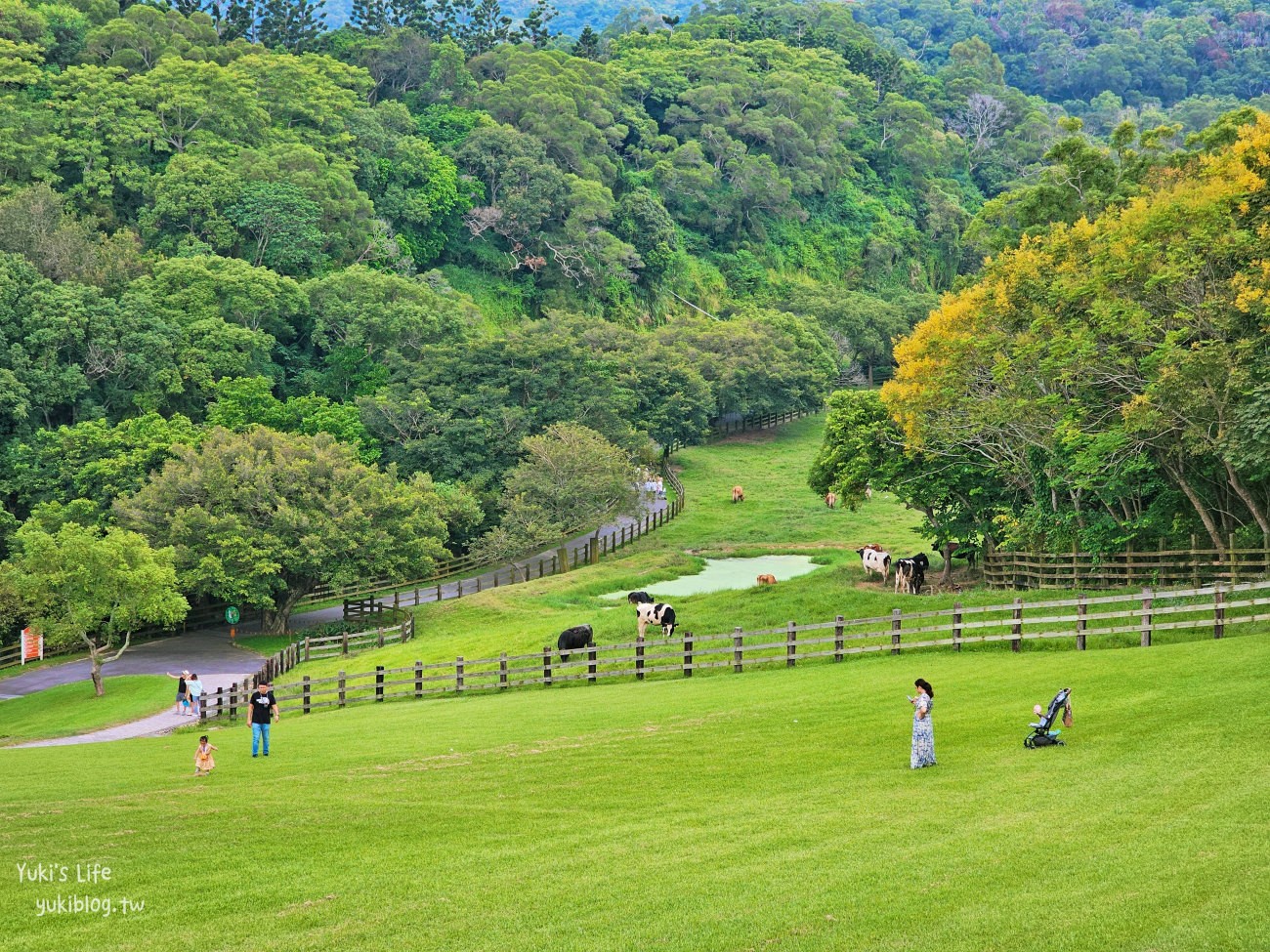 苗栗景點》飛牛牧場，苗栗必訪親子景點自然生態超豐富，用餐住宿都有～ - yuki.tw