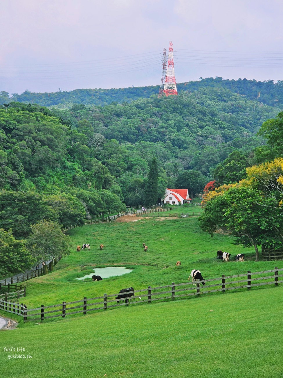 苗栗景點》飛牛牧場，苗栗必訪親子景點自然生態超豐富，用餐住宿都有～ - yuki.tw