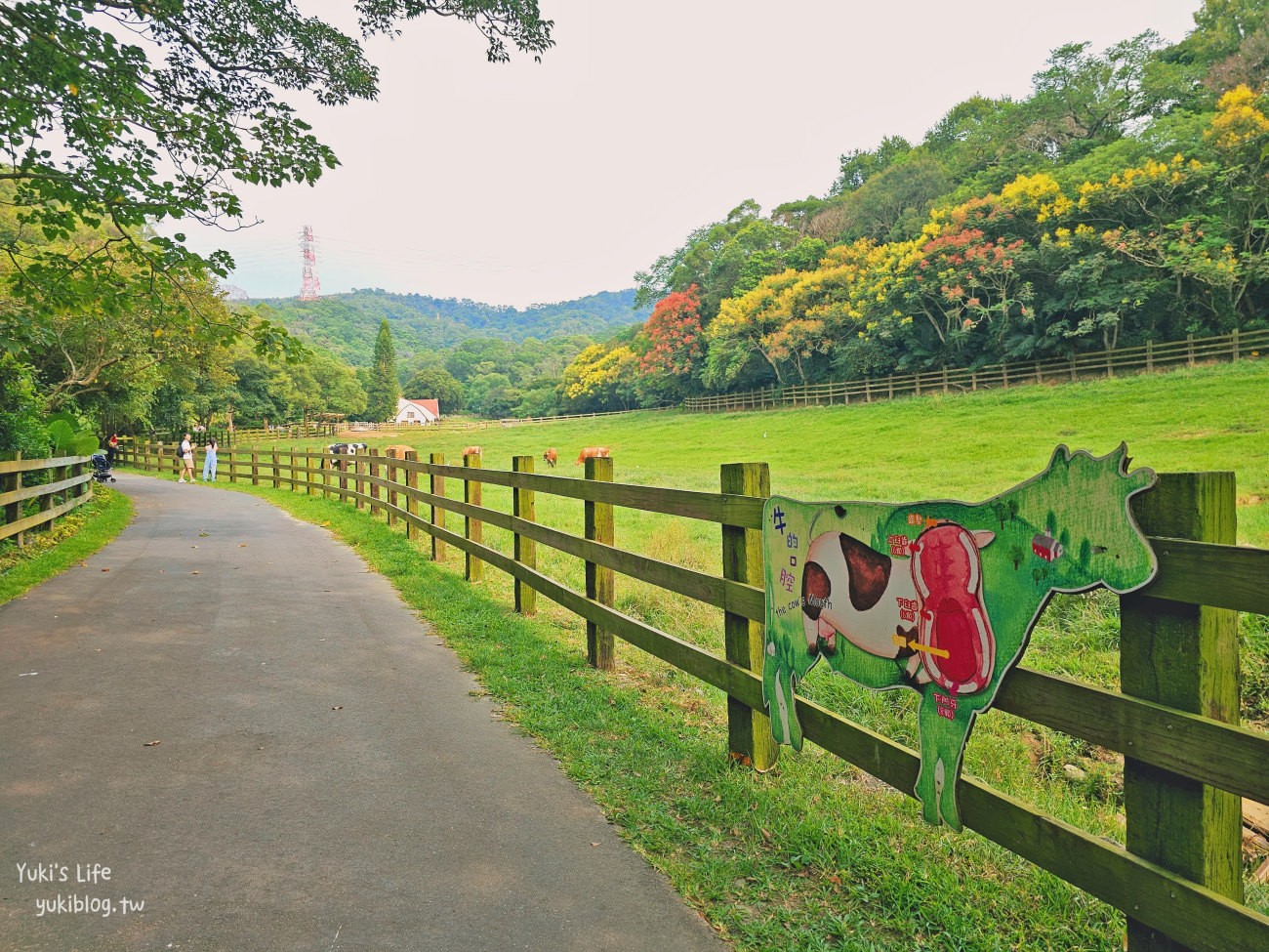 苗栗景點》飛牛牧場，苗栗必訪親子景點自然生態超豐富，用餐住宿都有～ - yuki.tw