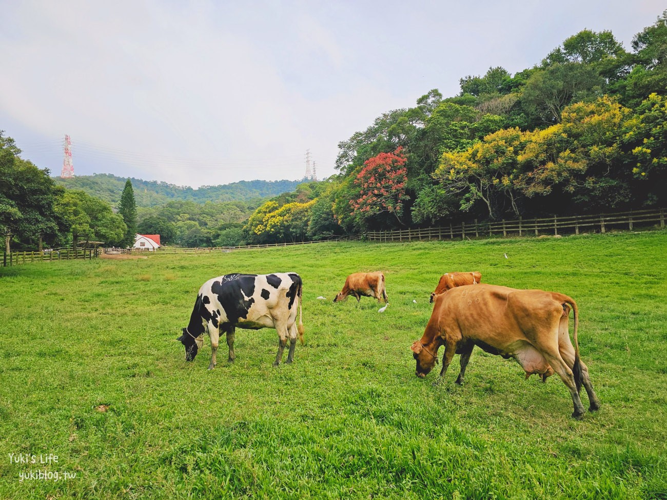 苗栗景點》飛牛牧場，苗栗必訪親子景點自然生態超豐富，用餐住宿都有～ - yuki.tw