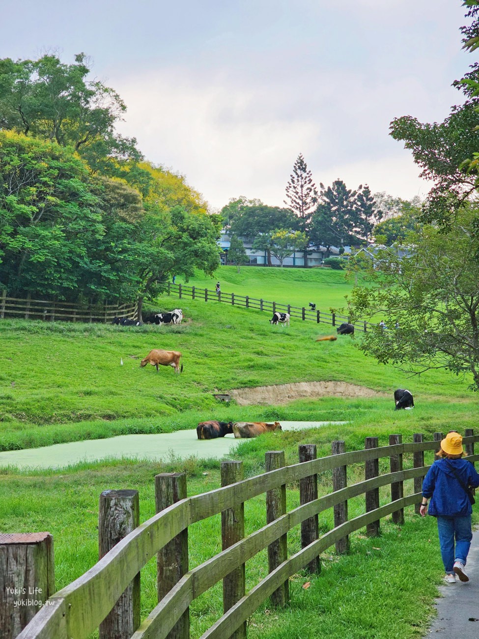 苗栗景點》飛牛牧場，苗栗必訪親子景點自然生態超豐富，用餐住宿都有～ - yuki.tw