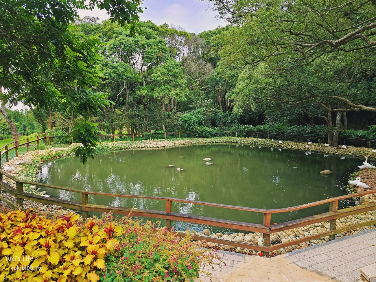 苗栗景點》飛牛牧場，苗栗必訪親子景點自然生態超豐富，用餐住宿都有～ - yuki.tw