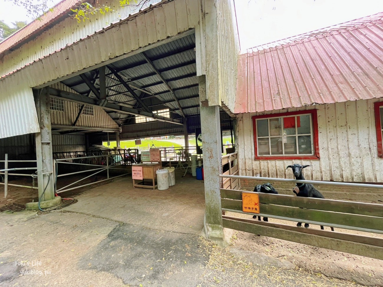 苗栗景點》飛牛牧場，苗栗必訪親子景點自然生態超豐富，用餐住宿都有～ - yuki.tw