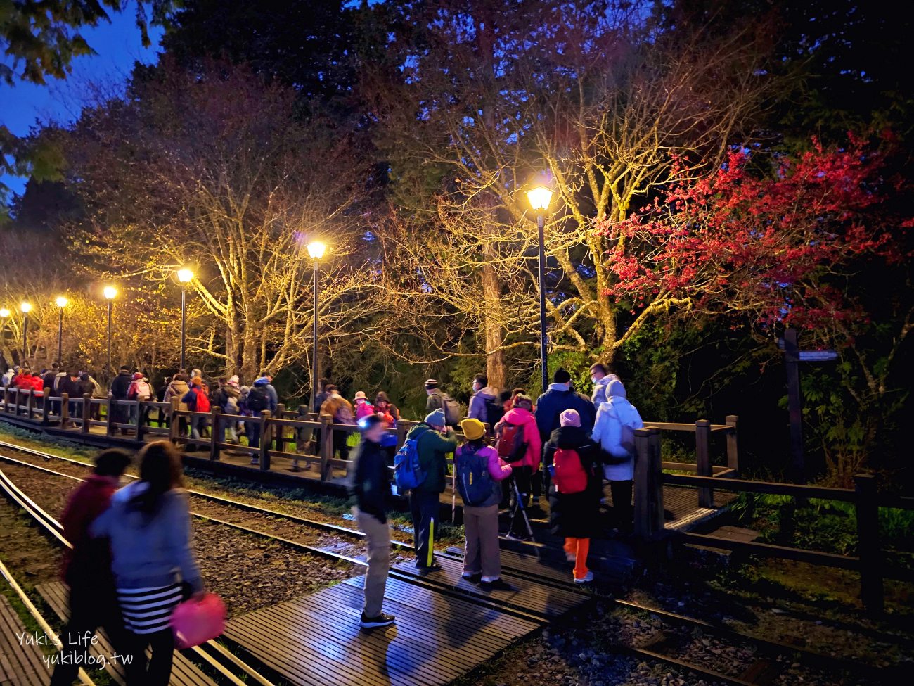 嘉義景點》阿里山國家森林遊樂區一日遊，仙境般必拍景點行程懶人包！阿里山日出巨木全攻略！ - yuki.tw