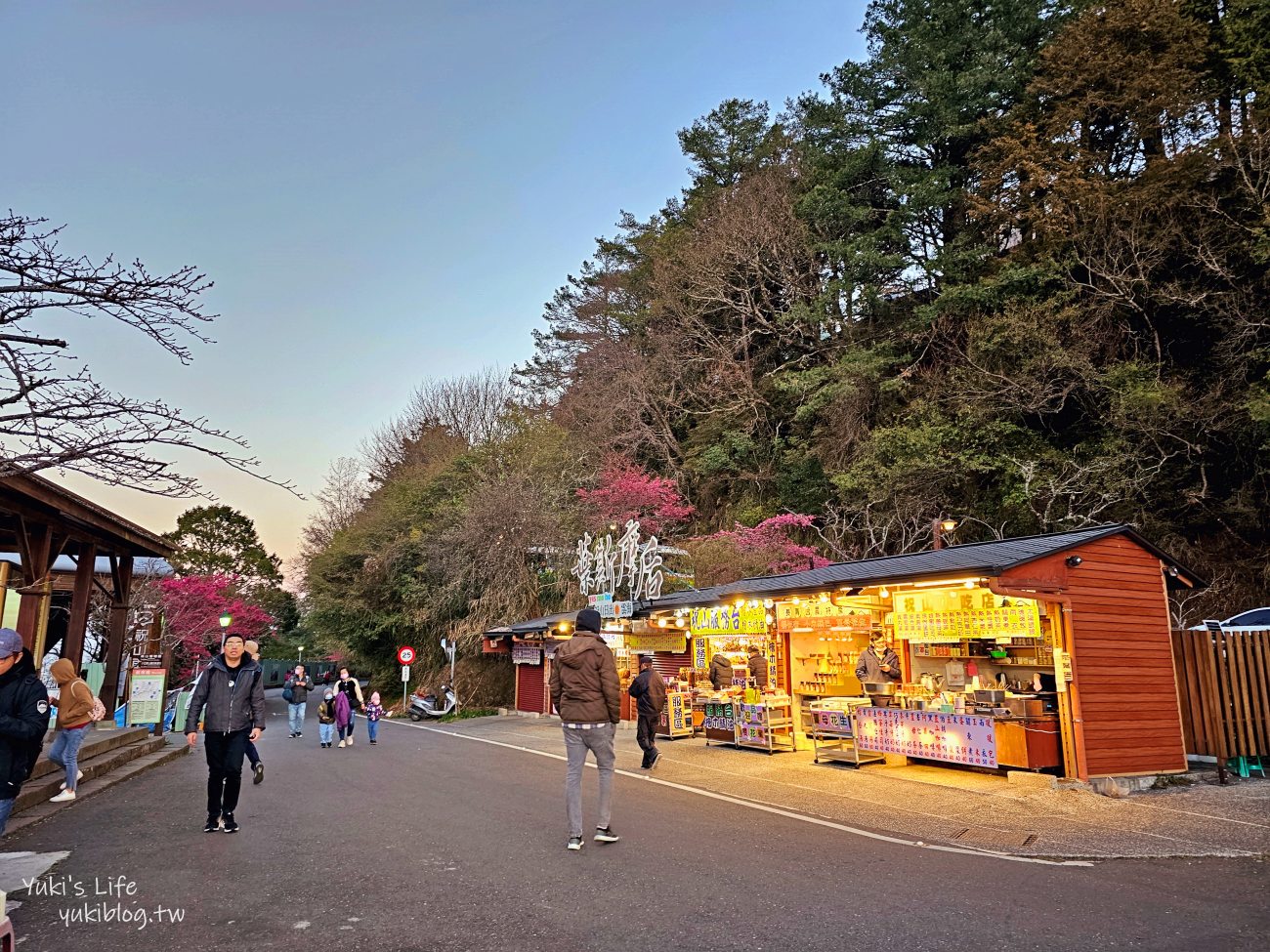 嘉義景點》阿里山看日出攻略，如何搭阿里山電動遊園車呢？ - yuki.tw