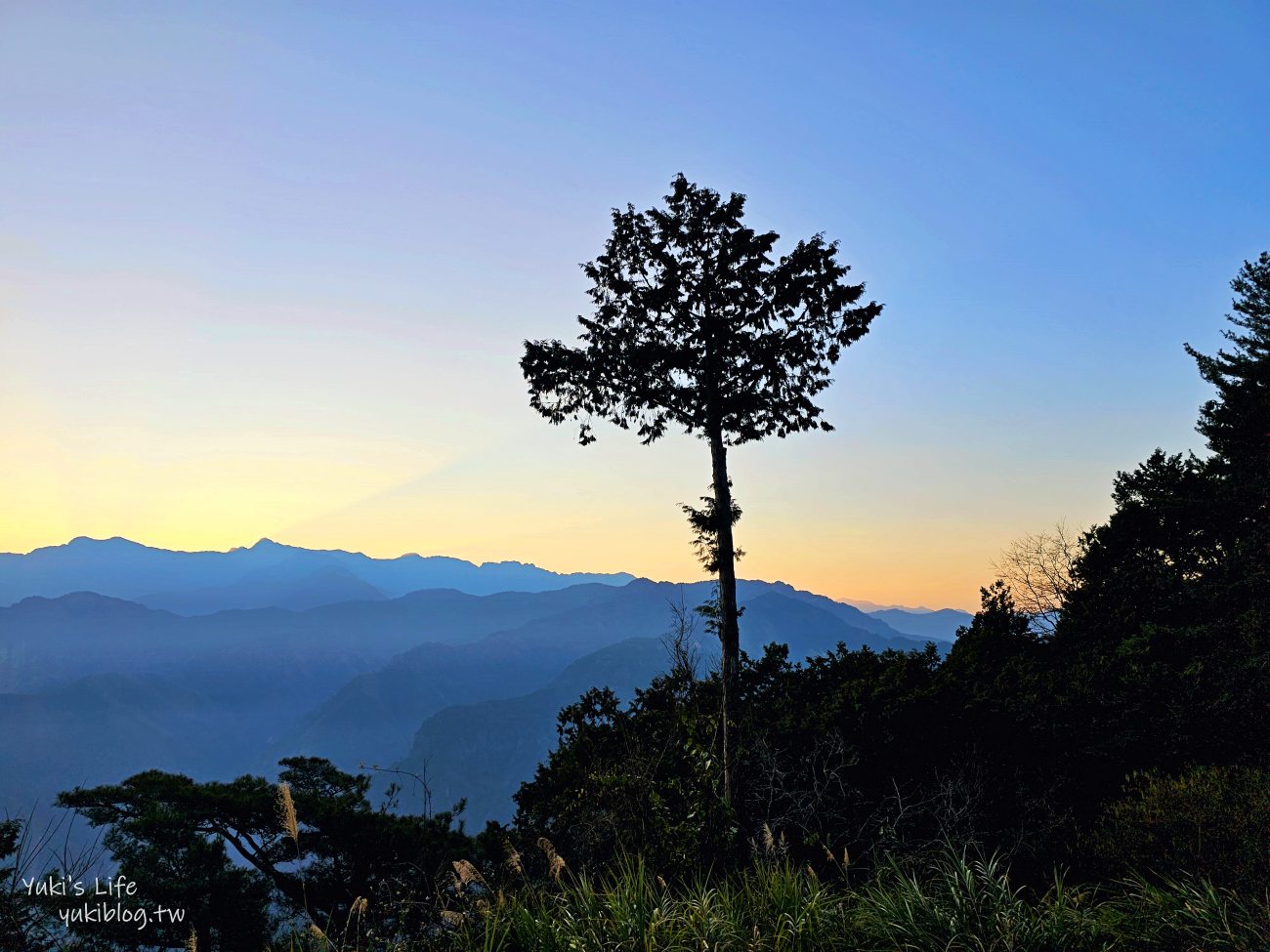 嘉義必訪！阿里山賞日出攻略！阿里山車站買票搭小火車到祝山觀日平台 - yuki.tw