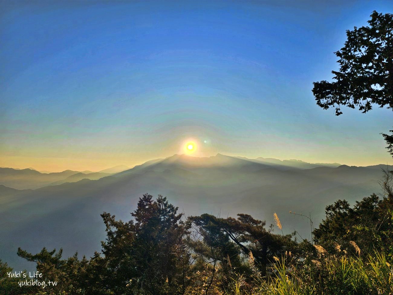 嘉義必訪！阿里山賞日出攻略！阿里山車站買票搭小火車到祝山觀日平台 - yuki.tw