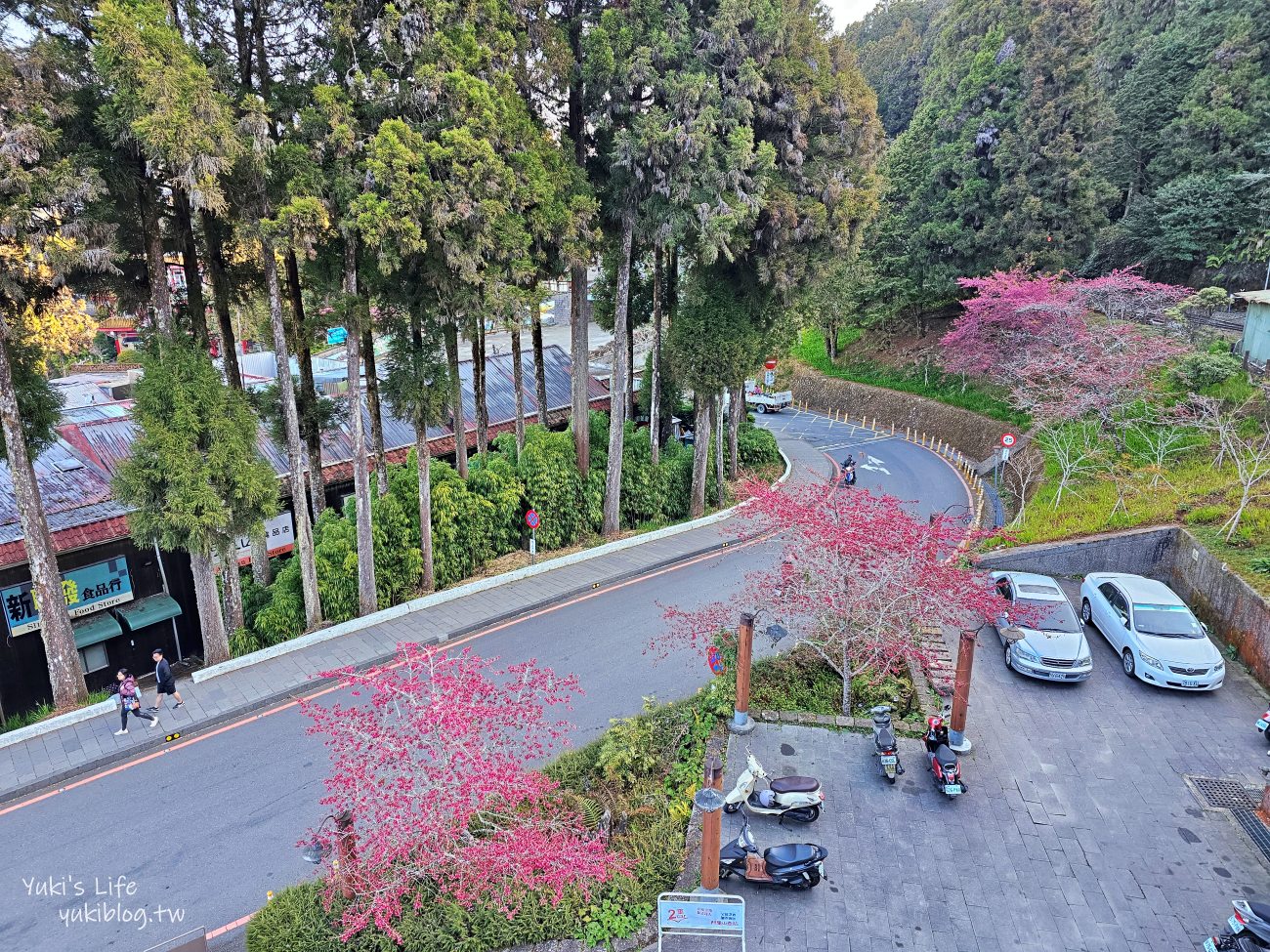 嘉義必訪！阿里山賞日出攻略！阿里山車站買票搭小火車到祝山觀日平台 - yuki.tw